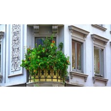 Nápady jak zastínit balkon pro větší soukromí
